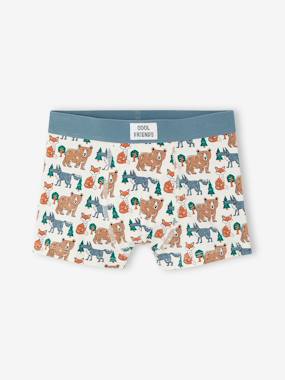 Garçon-Lot de 5 boxers garçon