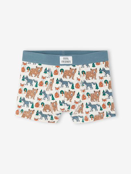 Pack of 5 boxers for boys beige - vertbaudet enfant 