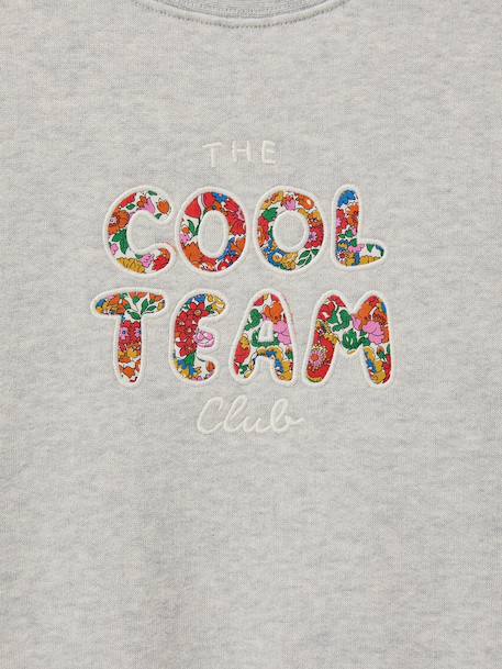 Sweat Cool Team gris - vertbaudet enfant 