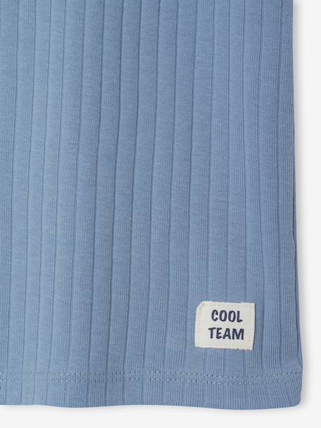 Pack of 3 short-sleeved T-shirts for boys sky blue - vertbaudet enfant 