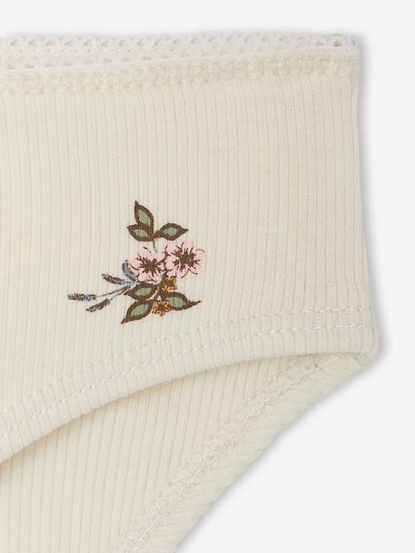 Pack of 5 briefs for girls beige - vertbaudet enfant 