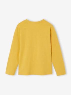 Boys-Long Sleeve Colour Top for Boys