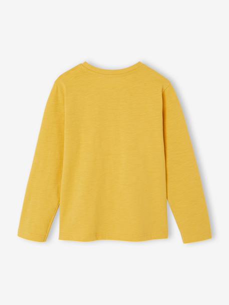 Long Sleeve Colour Top for Boys anthracite+Blue+fir green+Green+pale yellow+red+yellow - vertbaudet enfant 