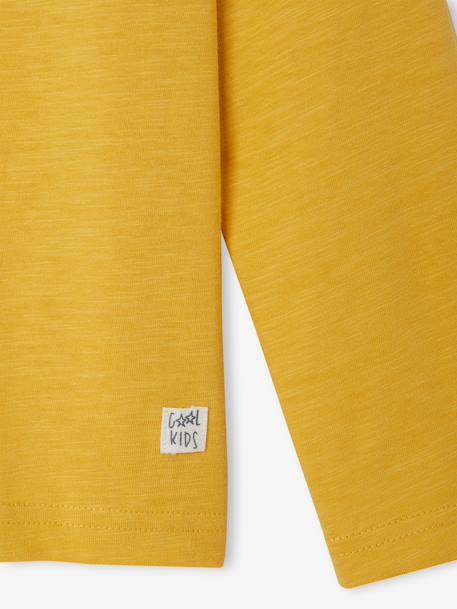 Long Sleeve Colour Top for Boys anthracite+Blue+fir green+Green+pale yellow+red+yellow - vertbaudet enfant 
