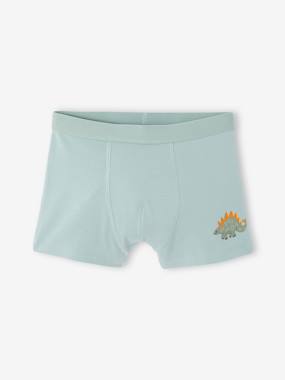 Lot de 5 boxers garçon - vertbaudet enfant -Lot de 5 boxers garçon