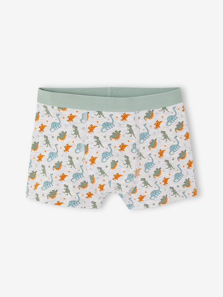 Pack of 5 boxer shorts for boys aqua green - vertbaudet enfant 