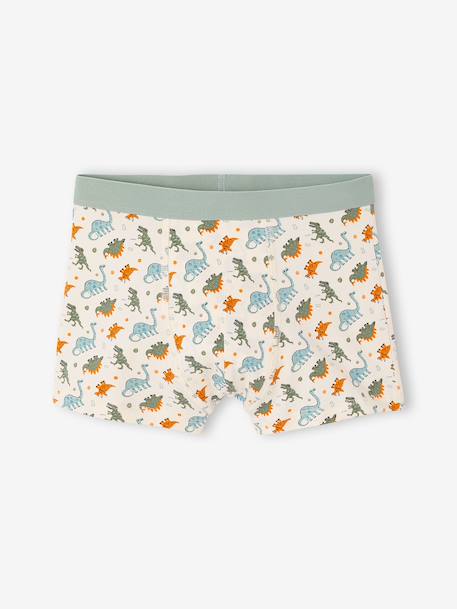 Pack of 5 boxer shorts for boys aqua green - vertbaudet enfant 