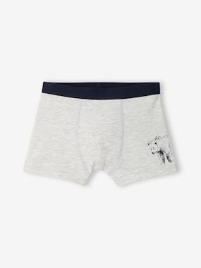 Lot de 5 boxers garçon - vertbaudet enfant -Lot de 5 boxers garçon