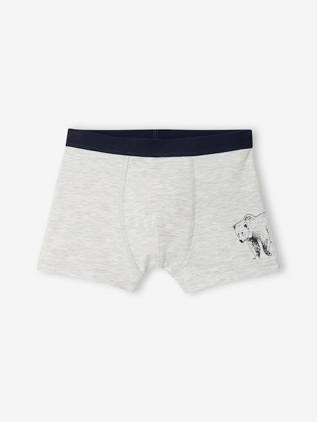Pack of 5 boxers for boys khaki - vertbaudet enfant 