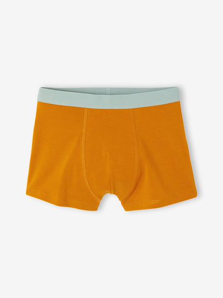 Pack of 5 boxer shorts for boys aqua green - vertbaudet enfant 