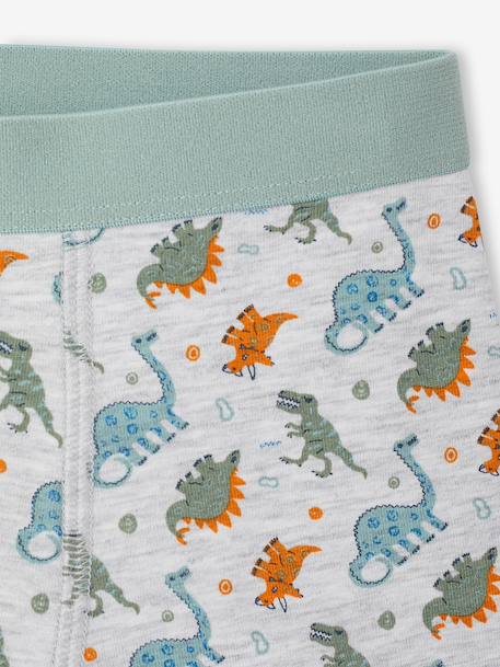 Lot de 5 boxers garçon vert d'eau - vertbaudet enfant 
