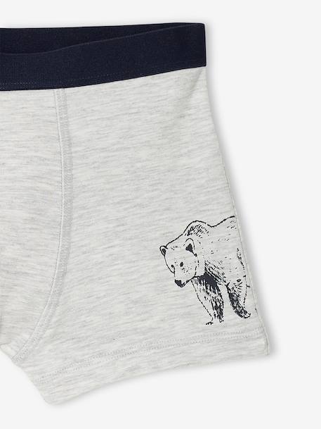 Pack of 5 boxers for boys khaki - vertbaudet enfant 