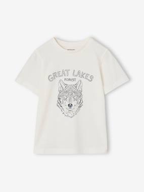 Garçon-Lot 3 T-shirts manches courtes