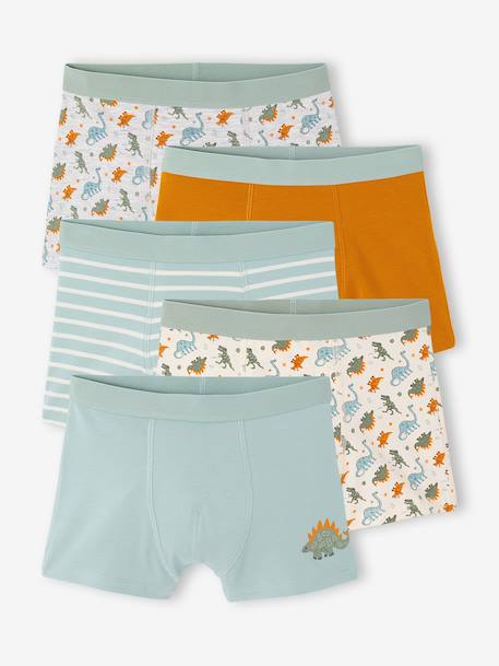Pack of 5 boxer shorts for boys aqua green - vertbaudet enfant 