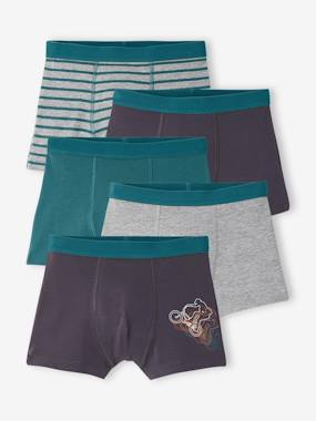 Garçon-Lot de 5 boxers garçon