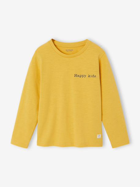 Long Sleeve Colour Top for Boys anthracite+Blue+fir green+Green+pale yellow+red+yellow - vertbaudet enfant 