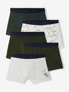 Garçon-Lot de 5 boxers garçon