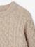 Long-sleeved cable knit jumper for boys marl beige - vertbaudet enfant 