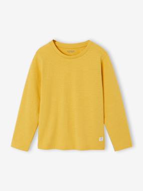 -Long Sleeve Colour Top for Boys