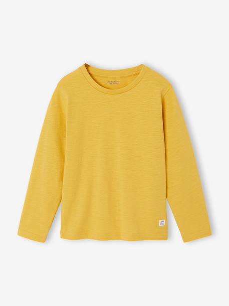Long Sleeve Colour Top for Boys anthracite+Blue+fir green+Green+pale yellow+red+yellow - vertbaudet enfant 