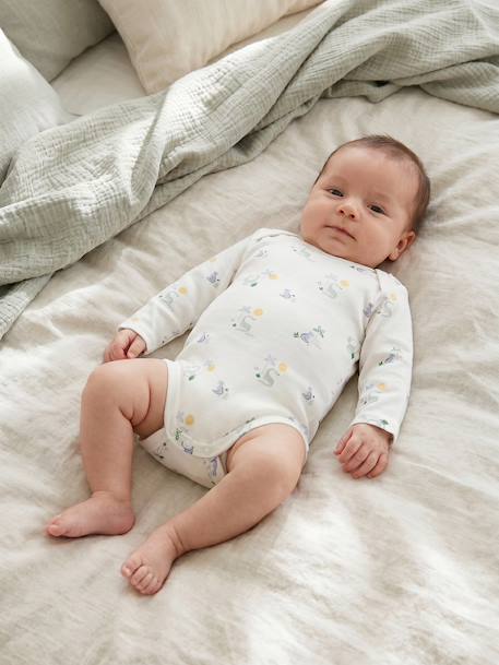Pack of 5 long-sleeved bodysuits for baby boys ecru - vertbaudet enfant 