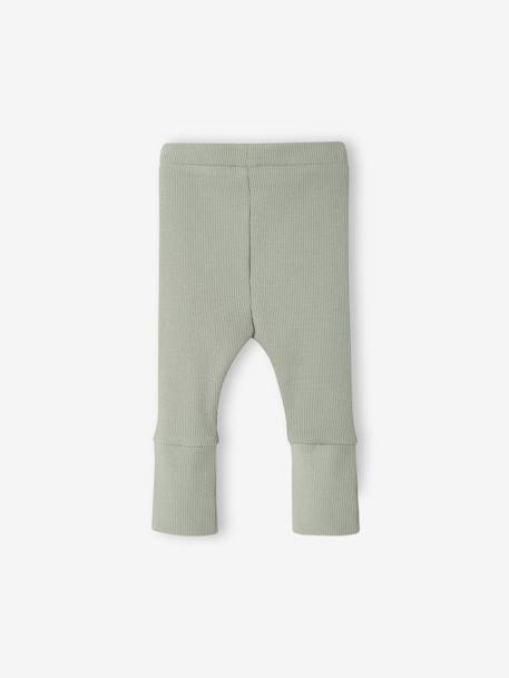 Progressive leggings for Babies, BASICS 6629+beige+dark brown+navy blue+pale pink+sage green - vertbaudet enfant 