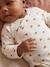 Pack of 5 long-sleeved bodysuits for newborn girls ecru - vertbaudet enfant 