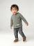 Striped Hooded Top for Baby Boys crystal blue+green+sandy beige+tomato red - vertbaudet enfant 