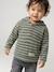 Striped Hooded Top for Baby Boys crystal blue+green+sandy beige+tomato red - vertbaudet enfant 
