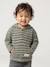 Striped Hooded Top for Baby Boys crystal blue+green+sandy beige+tomato red - vertbaudet enfant 