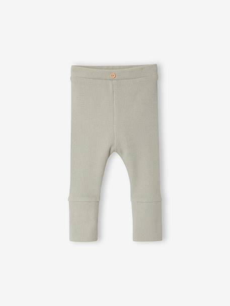 Progressive leggings for Babies, BASICS 6629+beige+dark brown+navy blue+pale pink+sage green - vertbaudet enfant 