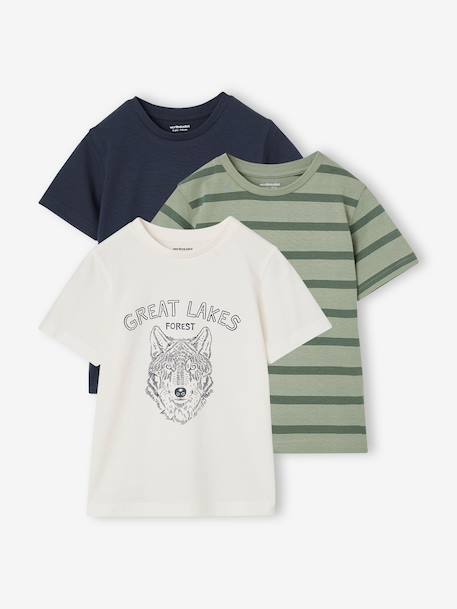 Pack of 3 short-sleeved t-shirts caramel+navy blue+pecan nut+sage green - vertbaudet enfant 