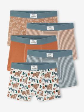 -Lot de 5 boxers garçon