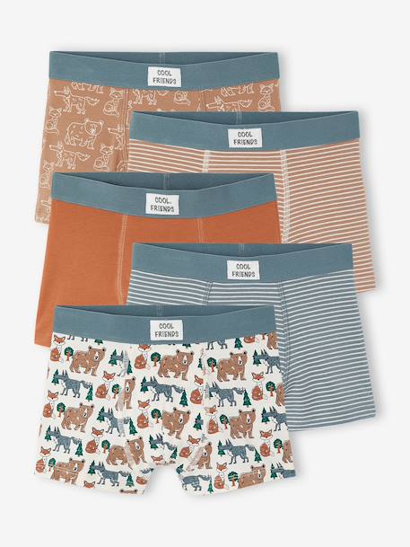 Pack of 5 boxers for boys beige - vertbaudet enfant 
