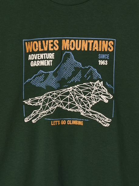 Long-sleeved T-shirt for boys green+navy blue - vertbaudet enfant 