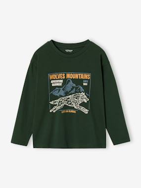 Long-sleeved T-shirt for boys - vertbaudet enfant