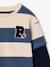 Striped T-Shirt with a Double-Sleeve Effect medium blue+striped green+striped red - vertbaudet enfant 