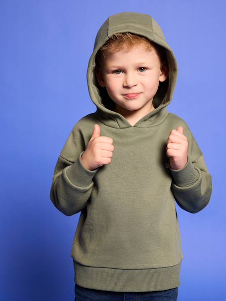 Sweat garçon à capuche motif poitrine orange+vert sauge - vertbaudet enfant 
