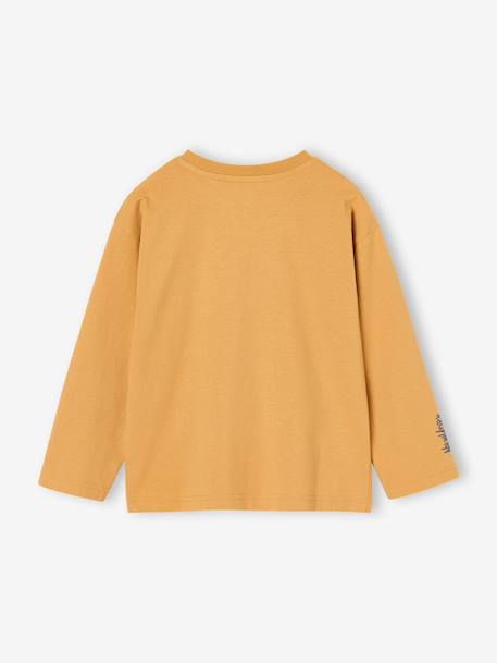 Long-sleeved T-shirt with slogan print for boys anthracite+pistachio+yellow - vertbaudet enfant 