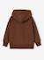 Sweat à capuche garçon marron - vertbaudet enfant 