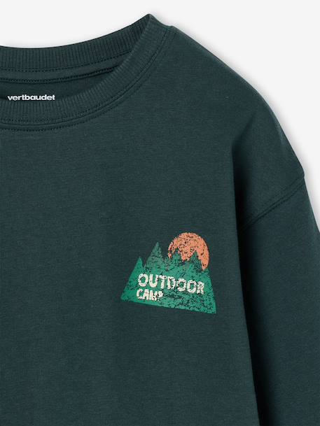 Long-sleeved T-shirt for boys fir green+ocean blue+ochre - vertbaudet enfant 