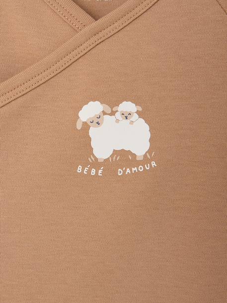 Lot de 2 bodies naissance manches longues cappuccino+rose pâle+vert sauge - vertbaudet enfant 