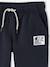 Pantalon de jogging garçon bordeaux+gris ardoise - vertbaudet enfant 