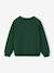 Harry Potter sweatshirt for boys dark green - vertbaudet enfant 