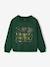 Harry Potter sweatshirt for boys dark green - vertbaudet enfant 