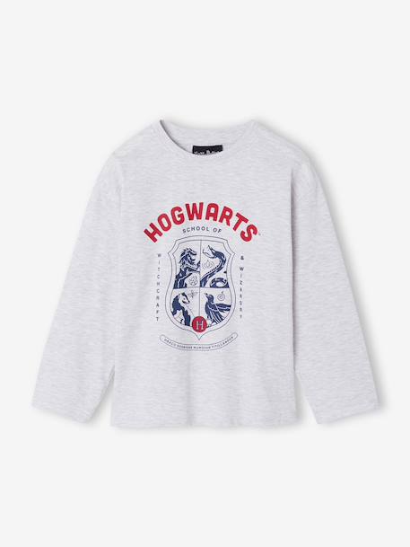 Harry Potter long-sleeved pyjamas for boys marl grey - vertbaudet enfant 