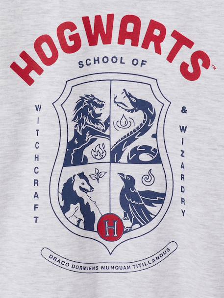 Harry Potter long-sleeved pyjamas for boys marl grey - vertbaudet enfant 