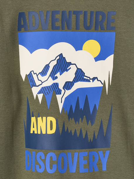 Long-sleeved T-shirt for boys lichen - vertbaudet enfant 