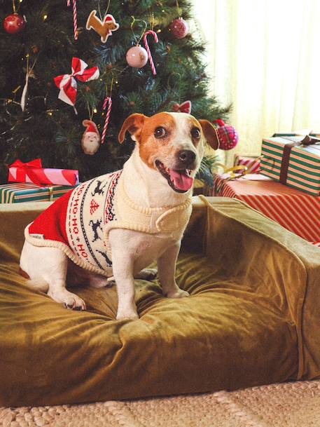 Pull de Noël pour chien rouge - vertbaudet enfant 