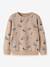 Patterned sweatshirt Name It for boys beige+grey blue+olive - vertbaudet enfant 